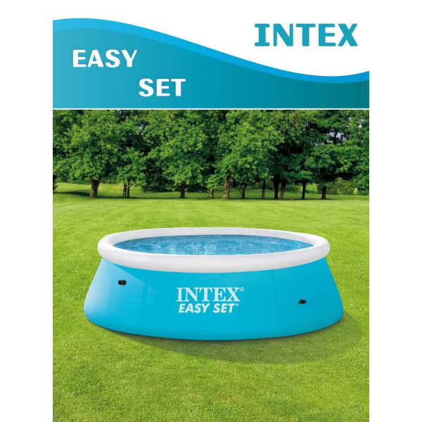Бассейн с надувным кольцом Easy Set 183 x 51 см Intex 28101