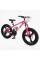 Велоcипед Спортивний Corso Evolution 20" дюймів EV-20103