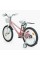Велосипед 2-х колісний 20" "CORSO" TG-45933 "TAYGER"