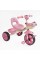 Велосипед 3-х колісний BS-60725 "Best Trike" колеса EVA переднє 10", заднє 8", сталева рама, УКР. ОЗВУЧУВАННЯ, кошик, в коробці