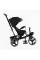Велосипед 6390 – 26-302 BestTrike "Oscar" ПОВОРОТНЕ СИДІННЯ, КЕРМО СКЛАДАЄТЬСЯ, КОЛЕСА З ПРОГУМОВАНИМ PU, КОШИК, ТЕЛЕСКОПІЧНА РУЧКА