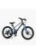 Дитячий спортивний велосипед 20" дюймів Corso Next NX-20110