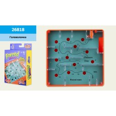 Игрушка головоломка 26818