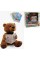 Мишка Сказочник WToys 31515 15 украинских сказок озвучка движущийся рот кнопки карточки звуки