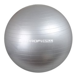 М'яч для фітнесу 65см 800 грам M0276U/R, сріблястий