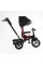 Велосипед 6088 F – 789-05 Best Trike ПОВОРОТНЕ СИДІННЯ, СКЛАДНЕ КЕРМО, ФАРА МУЗИЧНА З USB,Bluetooth НАДУВНІ КОЛЕСА, ПУЛЬТ ВКЛЮЧЕННЯ СВІТЛА І ЗВУКУ