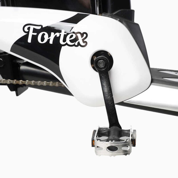 Електровелосипед Corso «Fortex» 20" дюймів FR-9523-4 (1) рама сталева, двигун 500W, акумулятор 48V20AH, корзина, у коробці